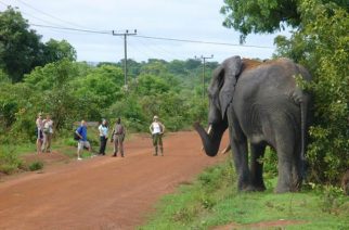 European Union Supports Mole National Park