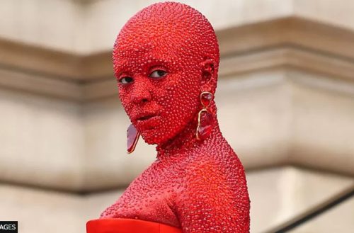 Thousands of crystals were attached to Doja Cat's head and body
