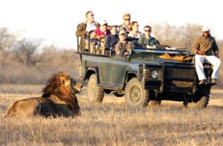 Why Millions Choose Africa As Their Safari Destination