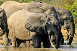 Ghana Receives Certificate Of Tourism Attractiveness