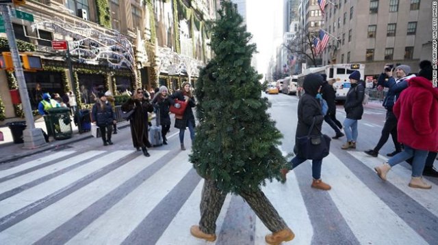 A Man Dressed Up As A Christmas Tree Is Walking Around New York City