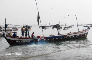 Ghana Government Urged To Adopt Measures To Improve Governance Of fisheries  