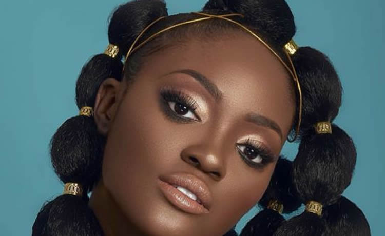 2020: Fulani Bubble Ponytail Hairstyle Trends Globally