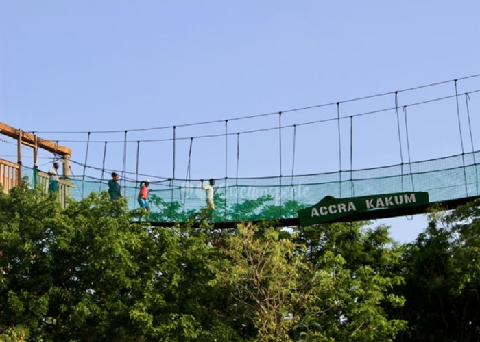 University of Ghana parts ways with managers of Legon Botanical Gardens